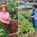 Do café ao cacau: projetos fortalecem e valorizam as mulheres rurais capixabas