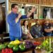 Ales quer inserir agricultores familiares no mercado de crédito de carbono