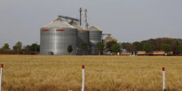 Brasil tem sexto maior crescimento no ranking das economias do G20