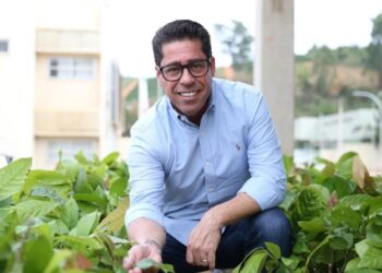 Arranjos Produtivos insere produtores rurais no mercado de crédito de carbono
