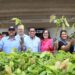 Projeto Arranjos Produtivos entrega mais de 2,5 milhões de mudas em 2 anos
